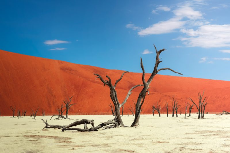 Namibia: Höhepunkte