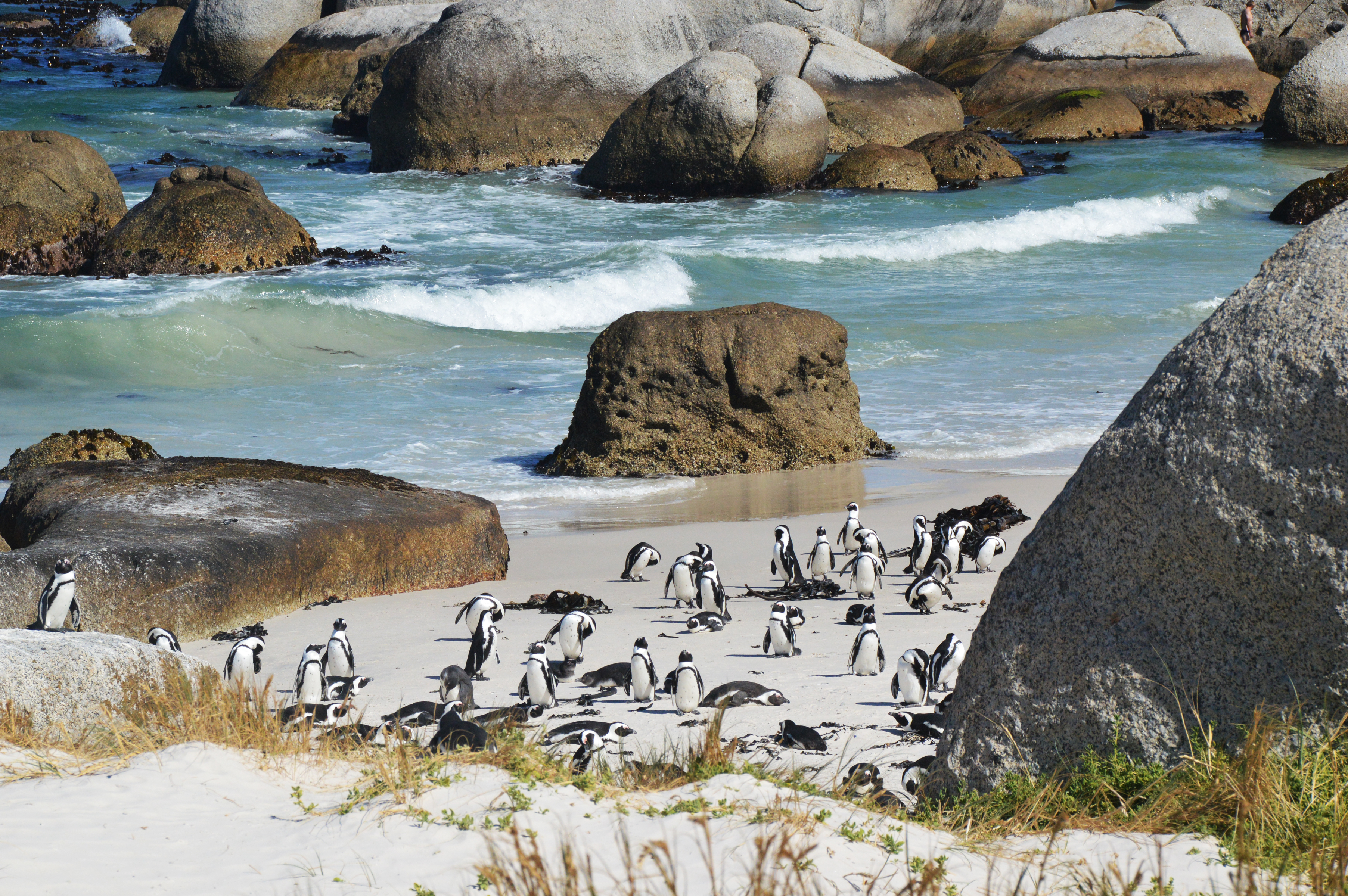 Südafrika: Impressionen