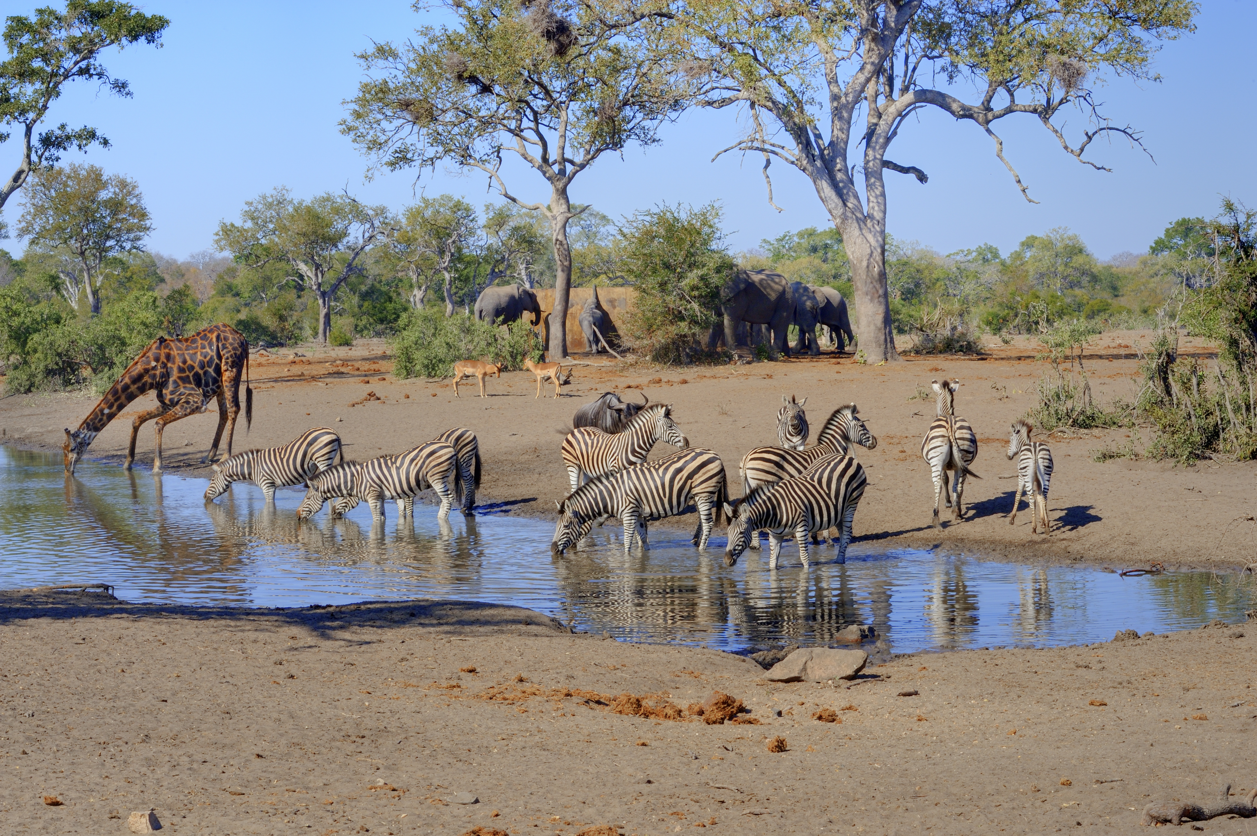 Südafrika: Impressionen