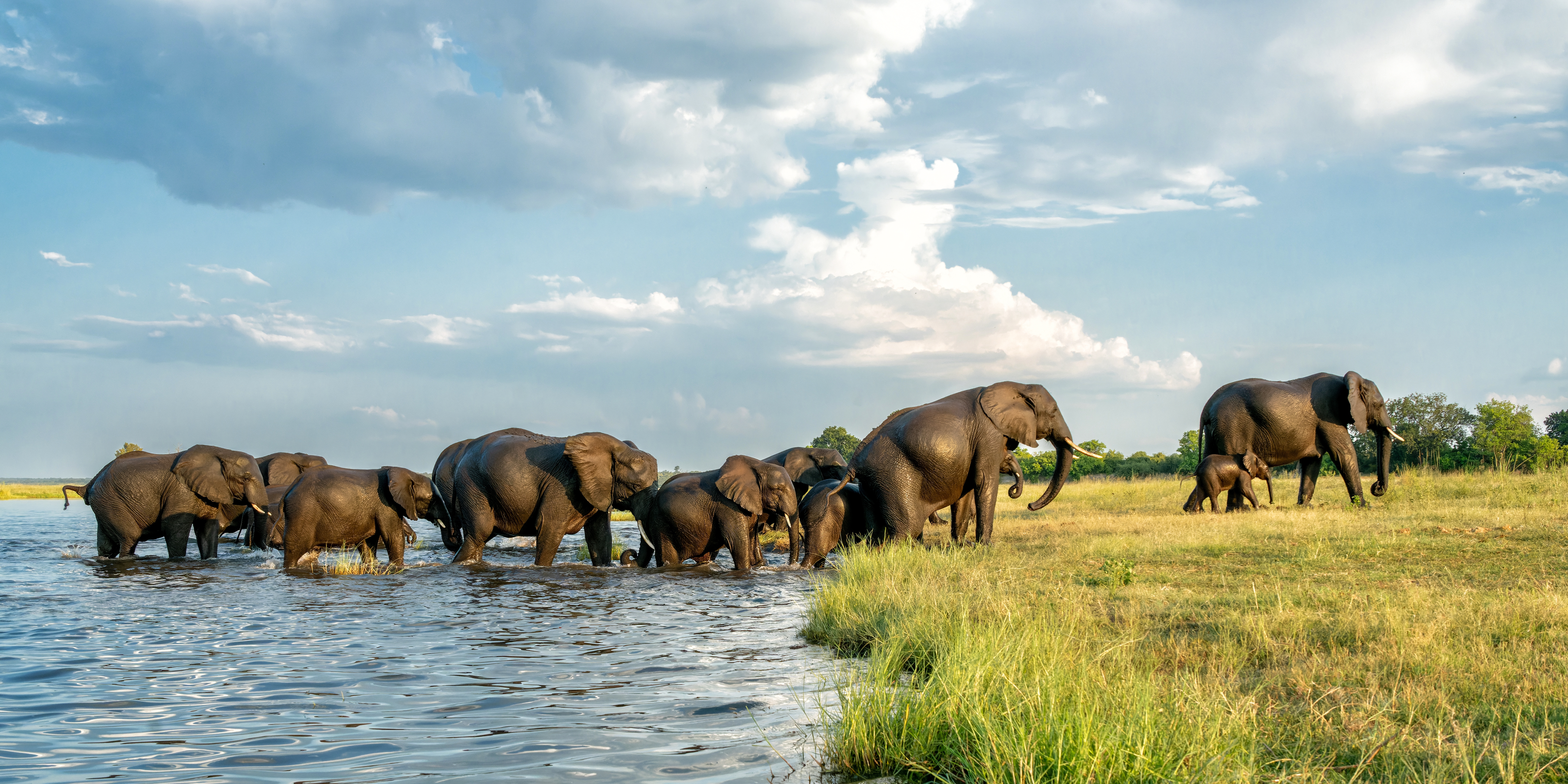 Südafrika & Botswana: Höhepunkte mit Victoriafällen