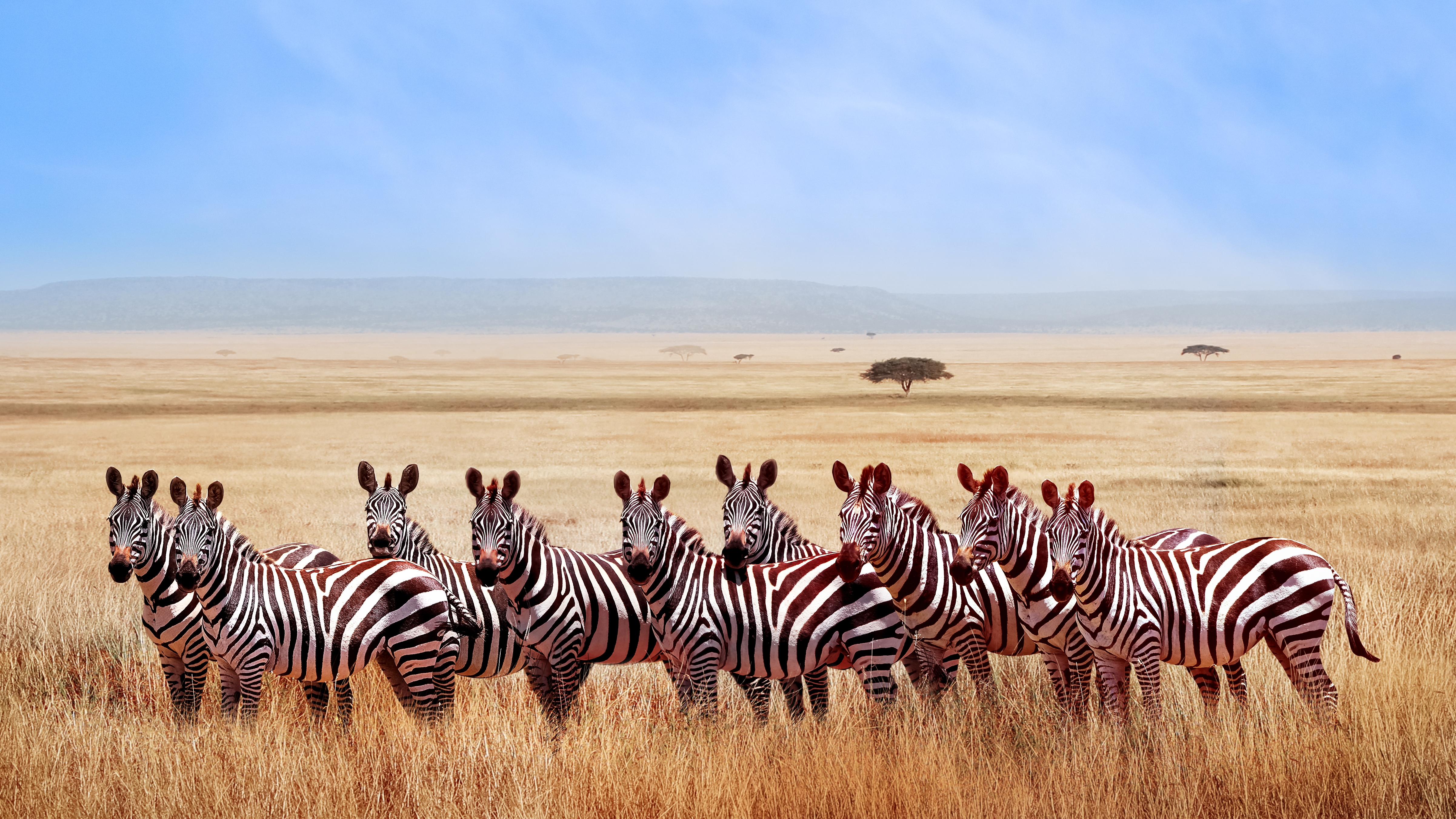Tansania & Kenia: Höhepunkte mit Sansibar