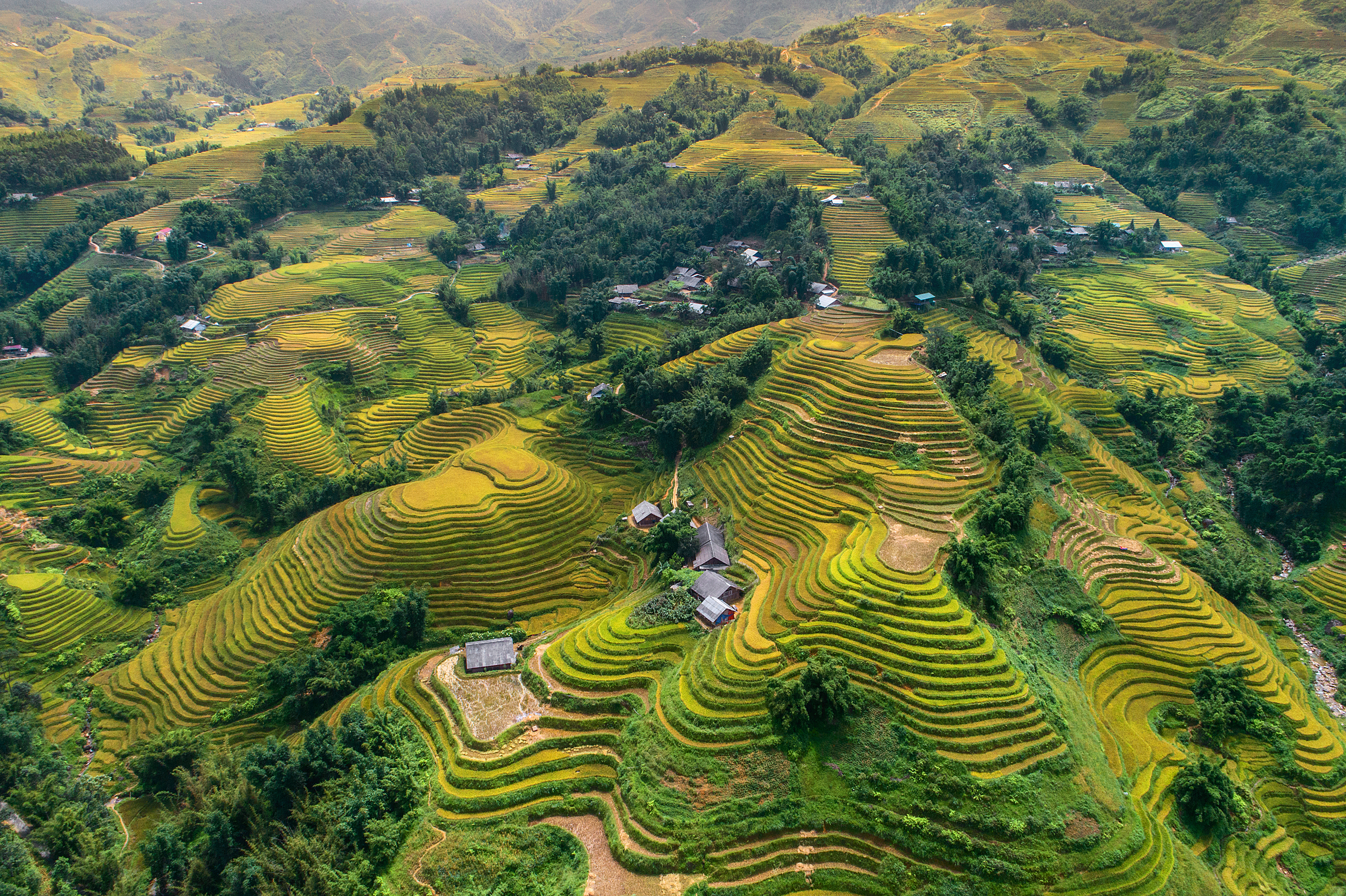Vietnam: Impressionen
