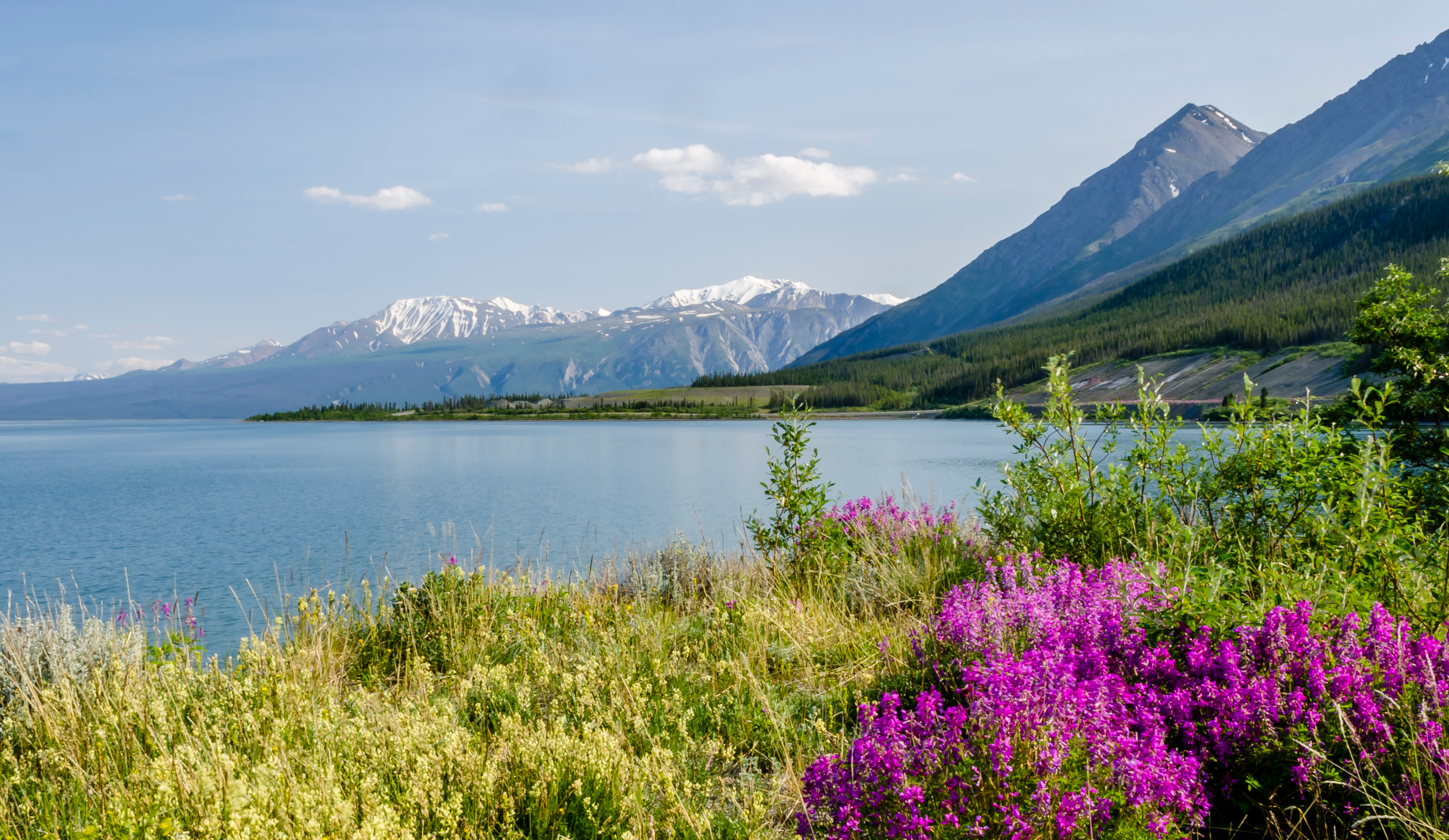 Alaska & Yukon: Höhepunkte