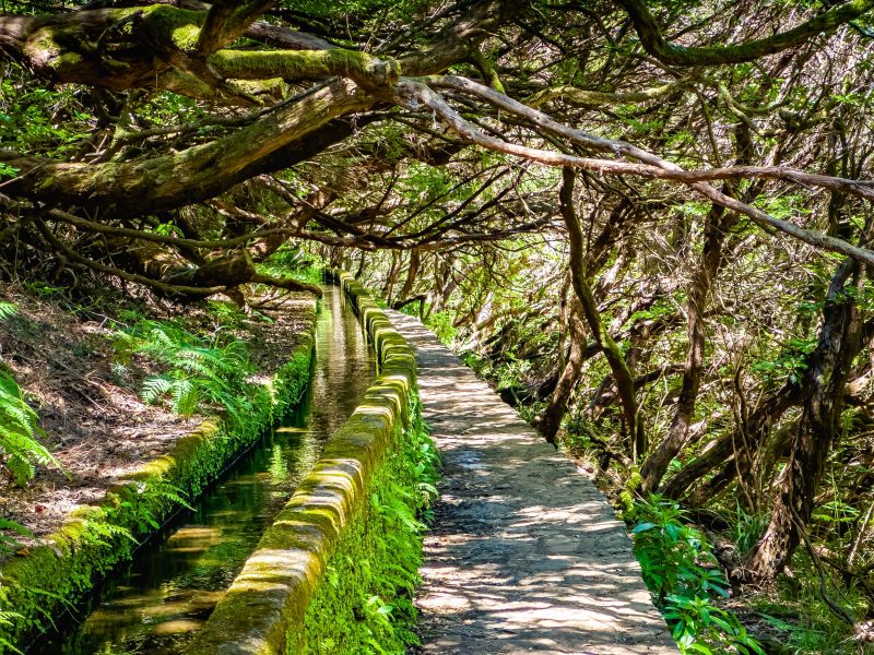 Madeira: Wandern
